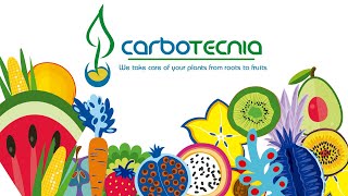 Carbotecnia fertilizantes especiales y bioestimulantes wwwcarbotecniacom [upl. by Alleram]