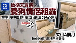 啟德天寰業主遇租霸欠租四個月 收樓後驚見變「廢墟」：好心寒 [upl. by Wymore133]