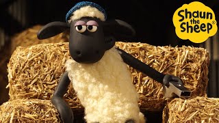 Shaun the Sheep 🐑 King of the Farm  Cartoons for Kids 🐑 Full Episodes Compilation 1 hour [upl. by Iramaj]