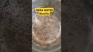 Jeera Water Benefits Cumin seeds water benefits jeerawater trendingshorts weightloss shorts [upl. by Sanbo]