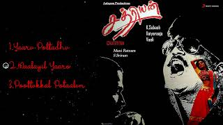 Chatriyan Tamil Jukebox  Vijayakanth Bhanupriya  Ilaiyaraaja [upl. by Marjory]