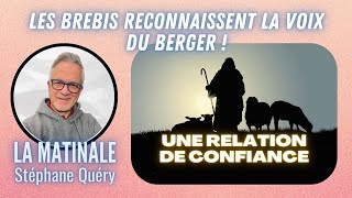 Le BERGER et ses BREBIS  une relation de confiance   Avec Stéphane Quéry [upl. by Nashner]