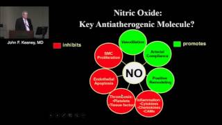 New Concepts of the Endothelium in Health and Disease John F Keaney MD March 23 2017 [upl. by Chura]