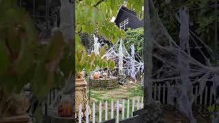 1800s plague house during the day halloween halloweendecor everydayishalloween halloweenideas [upl. by Nivi]