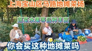 上海宝山区的一处马路地摊菜场，品种丰富，你会买这种路边摊吗街拍街景 [upl. by Latif]