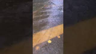 Hurricane Harvey Flooding Evacuation On Gosling Road Spring Texas 2017 [upl. by Nemrak667]