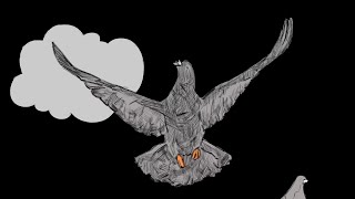 Aesop Rock  Pigeonometry Official Short [upl. by Eimmac921]