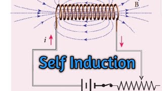 Self induction  12 Physics  Ln4 [upl. by Aenehs]