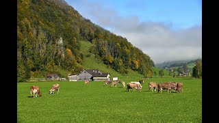 瑞士 依本立山 世界最遺世獨立的懸崖餐廳 Ebenalp Berggasthaus AescherWildkirchli Switzerland [upl. by Leahcin]