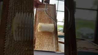 Using an Uncapping Roller beekeeper beekeeping bees beehive honey honeyharvest [upl. by Ecirtnahs]