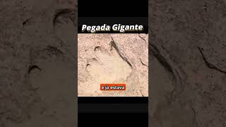 Pegada Gigante [upl. by Eendys56]