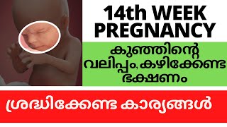 14th week of Pregnancy Malayalam [upl. by Nossah]