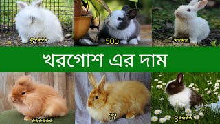 খরগোশ এর দাম  Rabbit Price In Bangladesh and India [upl. by Jeromy]