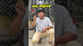 বন্য শালিক পাখির অবাক করা আচরণ birds funnyanimals ornofpets [upl. by Adnoluy872]