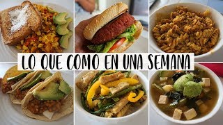 LO QUE COMO EN UNA SEMANA  vegano sabrosón [upl. by Errised]