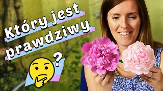 ☕ Piwonie jak prawdziwe ze wstążki zrobione DIY przy kawie 48 [upl. by Gord]