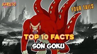 Son Goku  Top 10 Facts about Son Goku [upl. by Tterrab517]