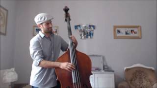 Babooshka  Kate Bush  Double bass cover by ju Bassiste [upl. by Otrebor]