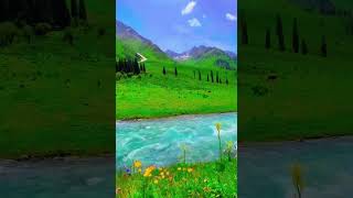 travel Northern area Pakistannaturevisitskardu exploreskardu lovenorthernareas short video [upl. by Nylitak]