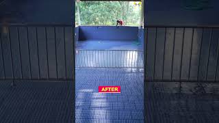 Pool waterproofing before and after waterproofyard waterproofing [upl. by Eatnwahs]