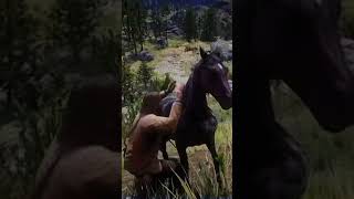 Nuevo caballo rdr2 nosabiaquelonecesitaba [upl. by Rigby]