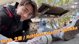 黃劍文  澳洲 🦘  Perth 之旅 ￼ Rottnest Island  Quokka 2024 [upl. by Seow]