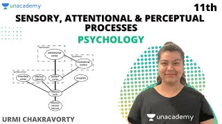 Class 11 Sensory Attentional and Perceptual Processes  Ch 5  Psychology  Urmi Chakravorty [upl. by Suoirrad]