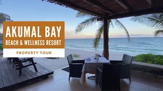 Tour Of Akumal Bay Beach amp Wellness Resort 2020 [upl. by Earas]