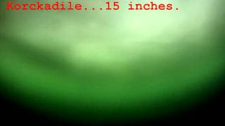 Big Lake Ice fishing Nov 20 2011 Underwater footage trial [upl. by Roley609]