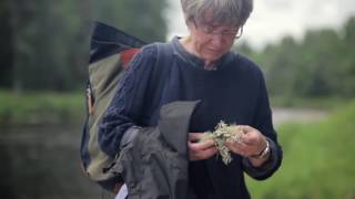 Angie Lewin The Making of Nature Table 4LhvoC8n N8 [upl. by Smail]