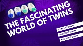 How are twins formed  Types of Twins  Identical amp Fraternal Twins [upl. by Anayrb]