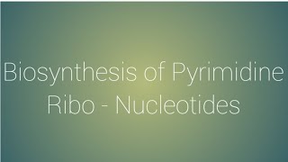 Biosynthesis of Pyrimidine Ribonucleotides [upl. by Maier650]