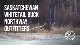 Hunting Big Saskatchewan Buck with Northway Outfitters [upl. by Lore]