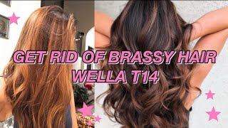 GETTING RID OF ORANGE BRASSY HAIR W WELLA T14  Brunette Hair [upl. by Einaj374]