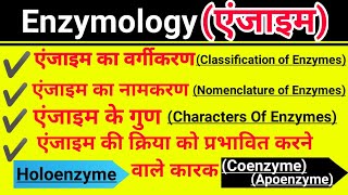 एंजाइमEnzymology एंजाइम के गुण नामकरण वर्गीकरण खोज कारकHoloenzyme Apoenzyme Coenzyme And Cofactor [upl. by Sanson]