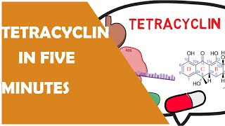 TETRACYCLINES PHARMACOLOGY IN 5 MINUTES 🔥 ANIMATED🔥MECHANISM OF ACTION [upl. by Eanrahc]