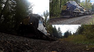 Rocky Mountaineer Double Take [upl. by Ahsuatan161]