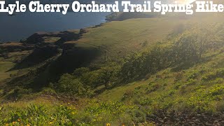 Lyle Cherry Orchard Trail and Lyle Loop hiking Columbia Gorge in May [upl. by Holloway]