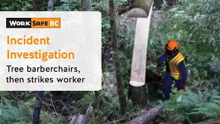 Incident Investigation Tree Barberchairs Then Strikes Worker  WorkSafeBC [upl. by Yarased]