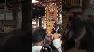 Awakening Temples of Kerala Chottanikkara Bhagavathy Temple [upl. by Nwahsek]