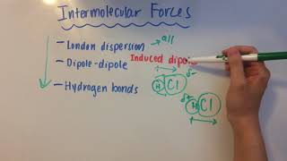 Intermolecular Forces [upl. by Vary]