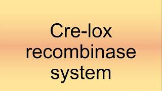 Crelox Recombinase System Pronunciation  How to Say  How to Pronounce [upl. by Dippold]