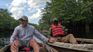 Epic Shellcracker Red Ear Fishing Cleaning and Cooking Adventure in the River Swamp – Must Watch [upl. by Aiuqes]