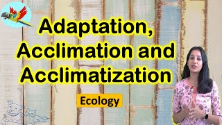 Adaptation Acclimatization and Acclimation I Ecology I CSIR NET I GATE I NEET I IITJAM I GATB [upl. by Horatia]