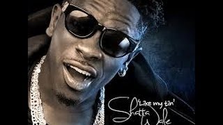 Shatta Wale Mix [upl. by Halona]