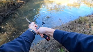 Carp Fishing Tips That Make a Difference [upl. by Biagi]