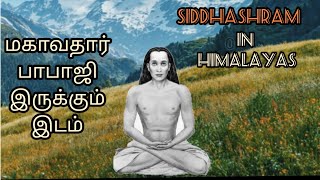 mahavatar babaji tamil  மகாவதார் பாபாஜி ஒரு தமிழர் part 4 [upl. by Osrit656]