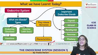 The Endocrine System  Chapter 12 Class 10 ICSE Biology Selina [upl. by Oisinoid]