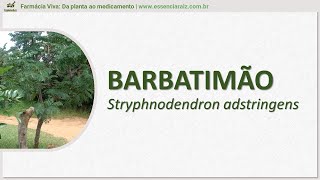 BARBATIMAO  Stryphnodendron adstringens [upl. by Nnylsor118]