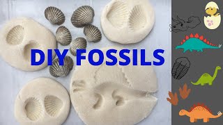 Fossil Fuels  Types and Formation  Video for Kids [upl. by Wilber985]